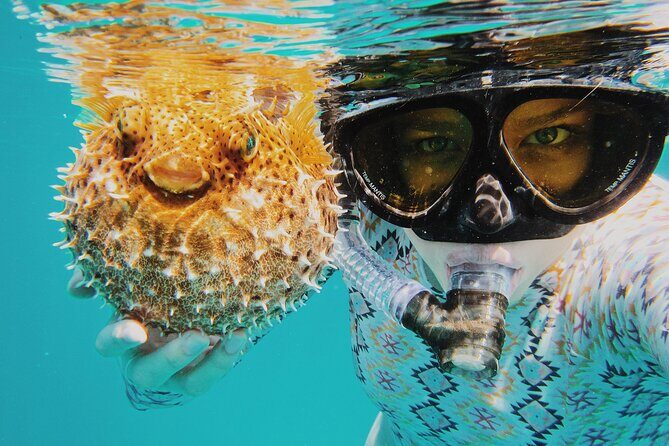 Discover Scuba Diving in Montego Bay-ONE Tank (First time Diving) - The Itinerary: Step-by-step