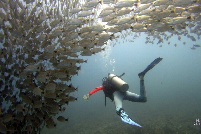 Discover Scuba Diving SSI Mini Course Tamarindo - The Details of the Experience