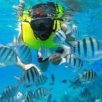 Discover Sosua's Underwater World & Beach Day - FAQs