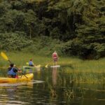 Discover the Beauty of Arenal Lake on a Guided Kayaking Tour - The Role of the Guide: Otto and Others