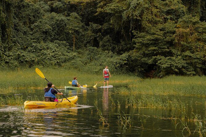 Discover the Beauty of Arenal Lake on a Guided Kayaking Tour - The Role of the Guide: Otto and Others