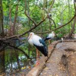 Discover the Fascinating National Aviary located in Baru Island, Cartagena. - Practical Tips for Your Day Out