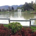 Discover the largest urban park in the world - Authentic Feedback from Travelers