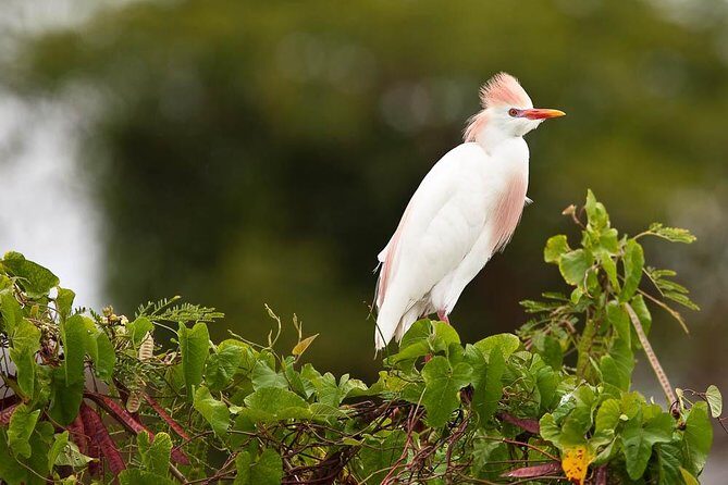 Discover the Rainforest - The Value for Price