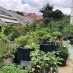 Discover The Second Largest Favela Of São Paulo & Its Brilliant Artists Private - The Practicalities: Transportation, Guides, and Value