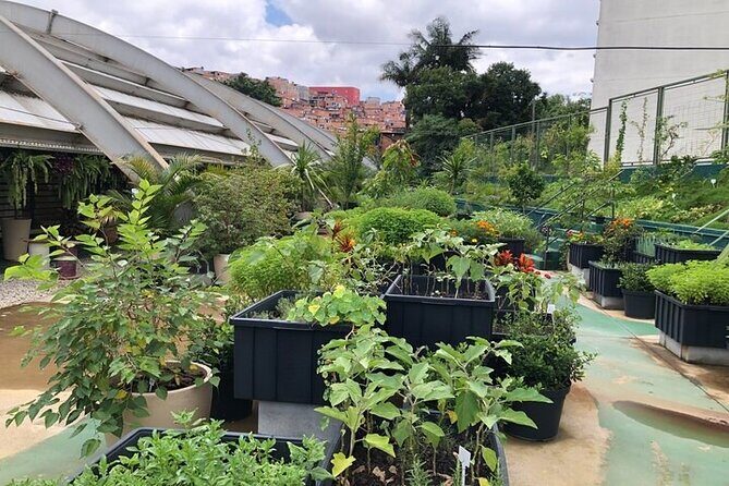 Discover The Second Largest Favela Of São Paulo & Its Brilliant Artists Private - The Practicalities: Transportation, Guides, and Value