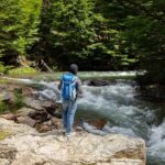 Discover Tierra del Fuego National Park - The Highlights and Why They Matter