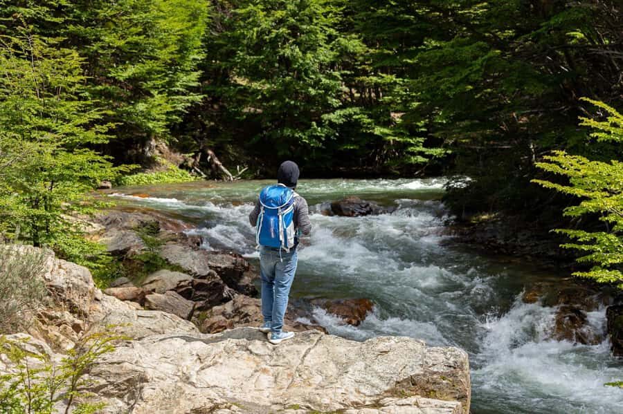 Discover Tierra del Fuego National Park - The Highlights and Why They Matter