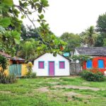 Discover Trancoso: Explore Beaches, History & Local Culture - Who Will Love This Tour?