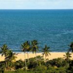 Discover Trancoso: Unforgettable Guided Tour - Who Should Consider This Tour?