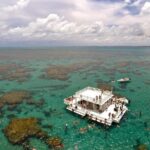 Discover Underwater Beauty: Explore Maracajaú's Parrachos Reef - The Practical Side: Transportation, Pricing, and Optional Extras