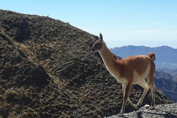 Discover Villavicencio Natural Reserve: Half-Day Adventure - A Closer Look at the Itinerary