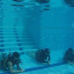 Discovering Diving / Discover Scuba Diving (DSD) - Why This Tour Shines