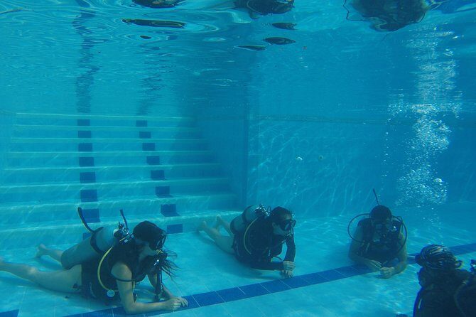 Discovering Diving / Discover Scuba Diving (DSD) - Why This Tour Shines