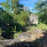Discovery Tour and Treasure Hunt ( North and Middle Caicos) - Authenticity and Guide Quality
