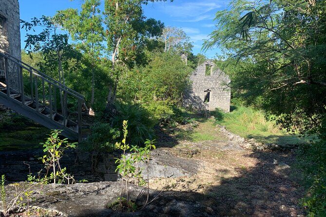 Discovery Tour and Treasure Hunt ( North and Middle Caicos) - Authenticity and Guide Quality