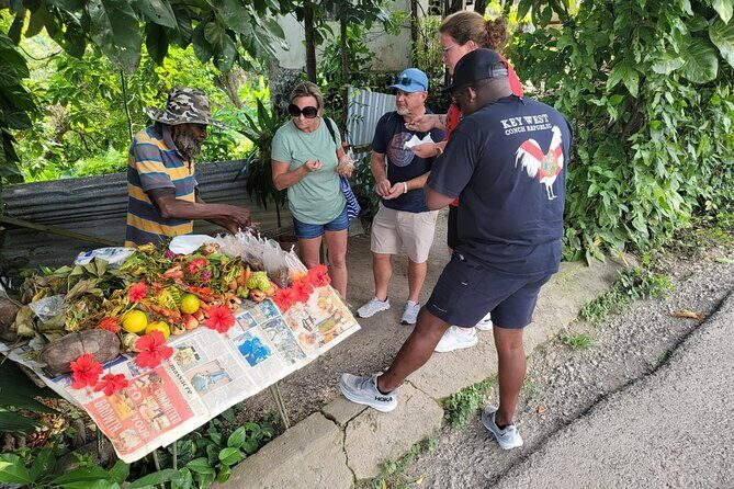 Diving and Rafting Tour in Ocho Rios Jamaica - The Practicalities: What to Expect