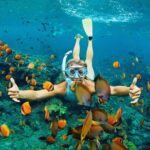 Diving and Snorkeling Catamaran Private Tour in Martinique - Who Should Consider This Tour?