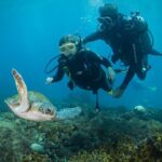 Diving for Beginners and Accredited - Búzios RJ - Who Should Consider This Tour?