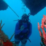 Diving Trip for Certified Divers. - Final Thoughts on the Cartagena Diving Trip