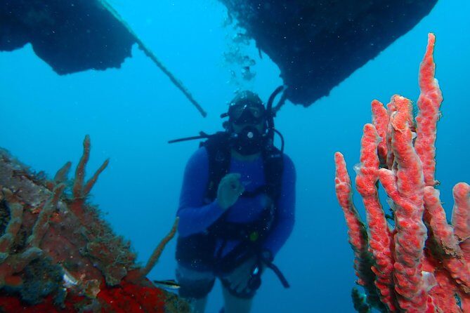 Diving Trip for Certified Divers. - Final Thoughts on the Cartagena Diving Trip