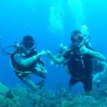 diving without a license catalina island from punta cana - Who Will Love This Tour?