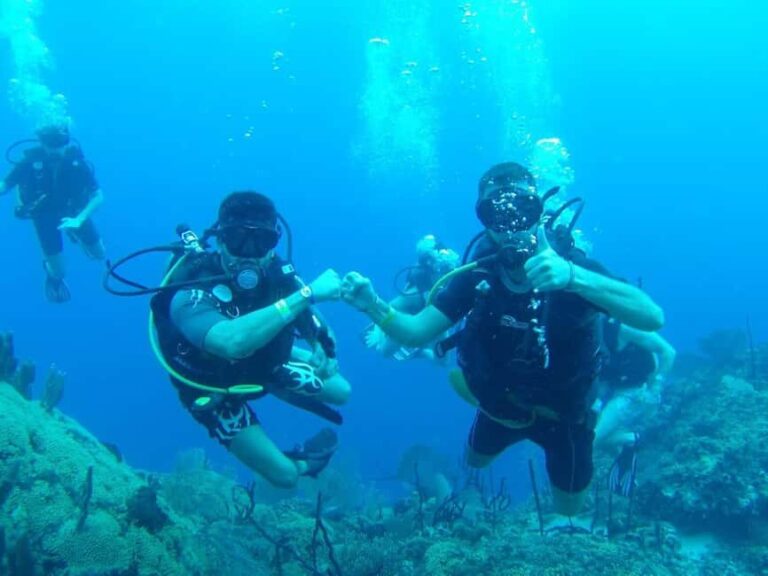 diving without a license catalina island from punta cana - Who Will Love This Tour?