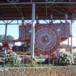 Doka Coffee Tour- Grecia & Sarchi From San José - The Sum Up