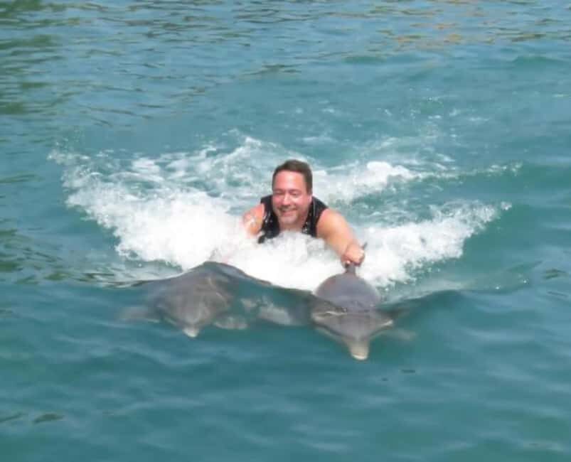 Dolphin Swim Adventure - The Practical Details: What You Need to Know