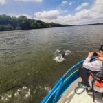Dolphin Watching Experience in Puerto El Morro from Guayaquil - Analyzing the Value