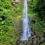 Dominica Adventure Hiking, Swimming, and Hot Springs Tour - What the Tour Means for You