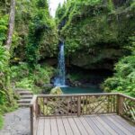 Dominica: Emerald Pool and Mero Beach Shore Excursion - A Closer Look at the Tour Experience