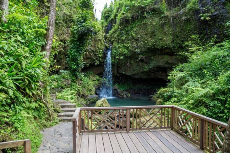 Dominica: Emerald Pool and Mero Beach Shore Excursion - A Closer Look at the Tour Experience