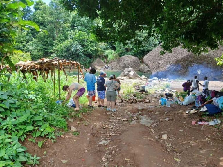 Dominica: Local Bush Rum Bar, Waterfall and River Pool Tour - Who Should Consider This Tour?