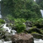 Dominica: Rain Forest Adventure with Waterfall Swim - Who Should Book This Tour?