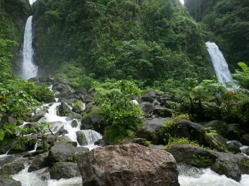 Dominica: Rain Forest Adventure with Waterfall Swim - Who Should Book This Tour?