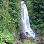 Dominica Scenic Waterfalls and Hot Springs @ Autop Tours - In-Depth Review of the Dominica Waterfalls and Hot Springs Tour