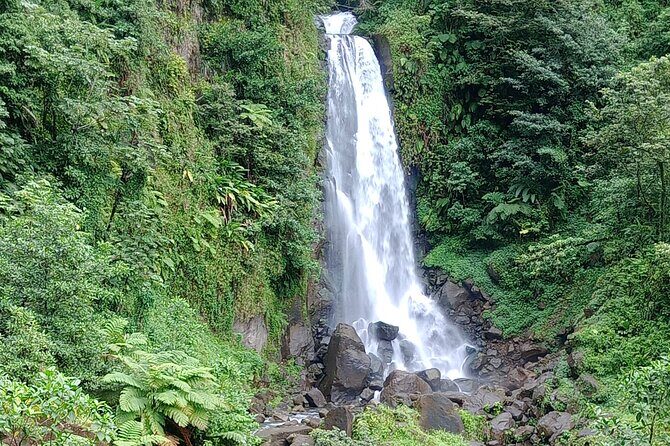 Dominica Scenic Waterfalls and Hot Springs @ Autop Tours - In-Depth Review of the Dominica Waterfalls and Hot Springs Tour