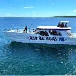 Dominican 3-Day Tour: Saona, Buggy & Santo Domingo - Who Should Consider This Tour?