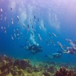 Dominican Republic: Catalina Island VIP Scuba Diving - FAQs