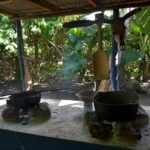 Dominican Republic Countryside Safari Tour from Punta Cana - Who This Tour Is Perfect For
