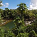 Dominican Roots: Unforgettable Cultural Adventure in Punta Cana - Final Words