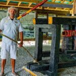 Dominican Safari Adventure: Culture, Nature & Macao Beach - What’s Included and What to Keep in Mind