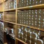 Don Lucas Cigar Factory & Store + Premium Rum Tasting (3 hours) - An In-Depth Look at This Half-Day Tour