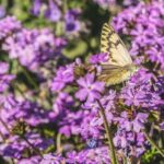 Don Melchor Premium Wine tour - Practical Details and What You Should Know