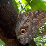 Don Olivo Chocolate Tour - In-Depth Look at the Experience