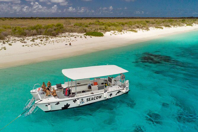 Double Dip Snorkel Trip - What We Think: Value & Experience