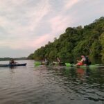 Double Kayak Bioluminescence Tour in Costa Rica - The Sum Up: Why It’s Worth Your Time