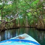 Dreams Flora Resort - Round Trip Shuttle - Punta Cana Airport - In-Depth Review of the Dreams Flora Resort Shuttle Service