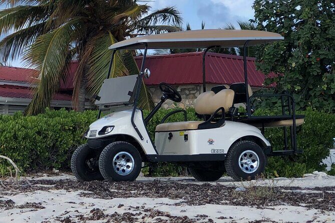 Drive GDT - Golf Cart Rentals - FAQ